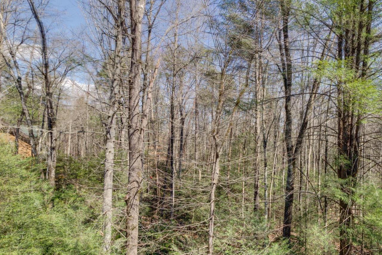 Tennessee Treasure Пиджен-Фордж Экстерьер фото